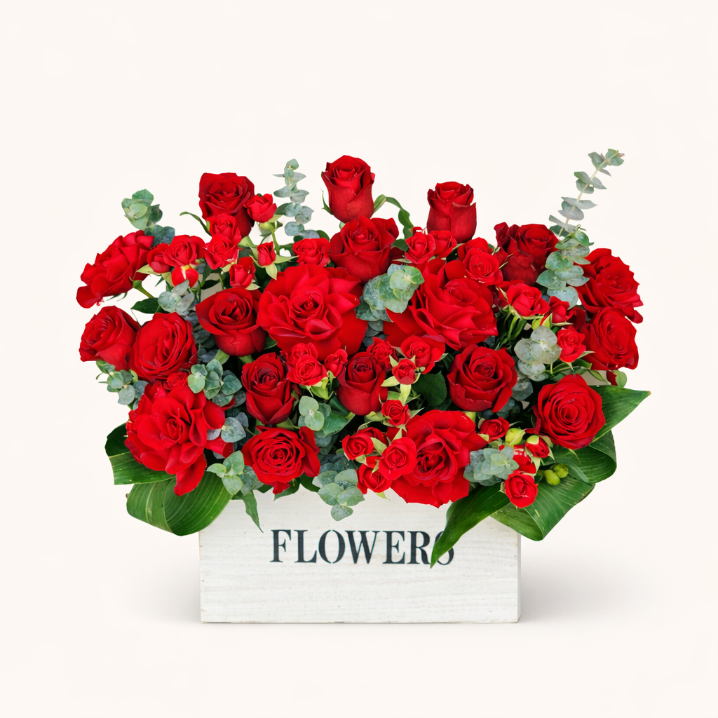 بوكس ورد احمر