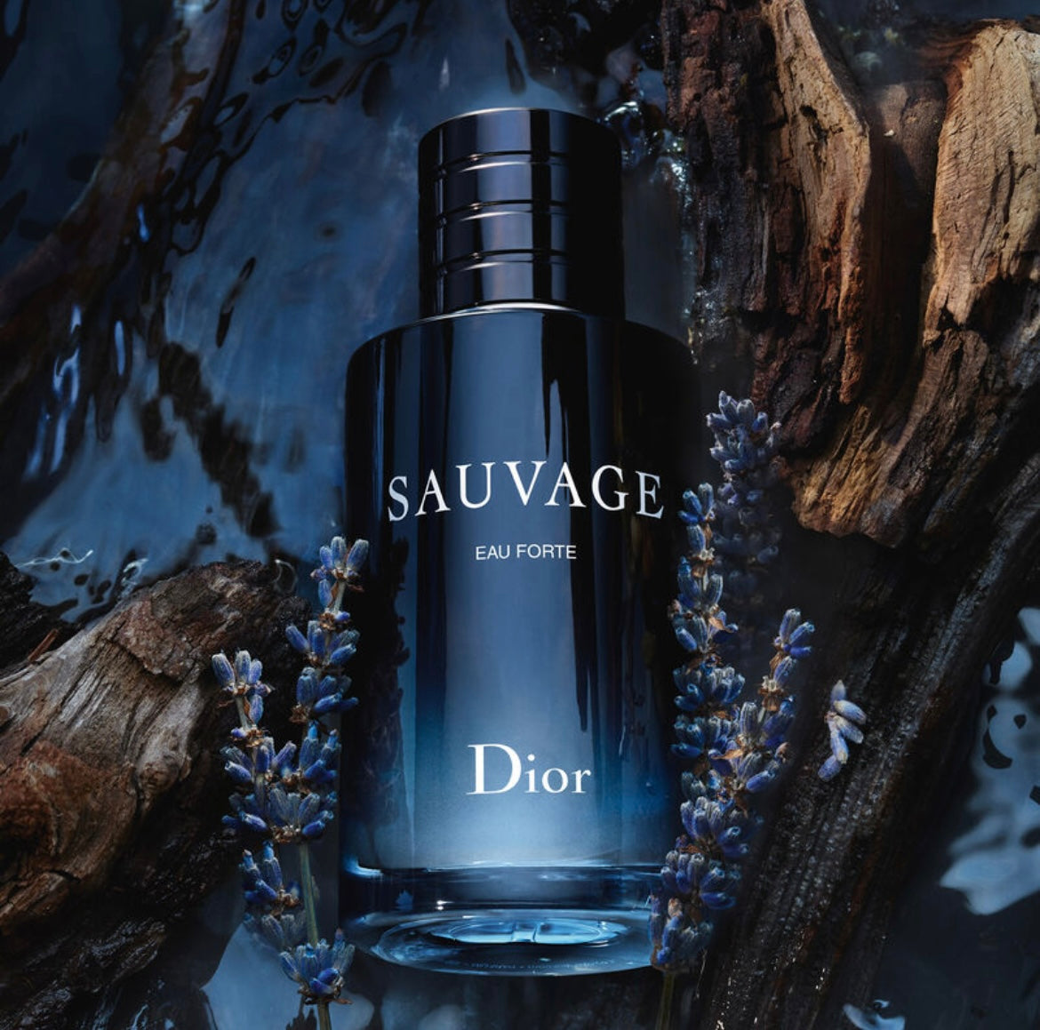 عطر سوفاج للرجال