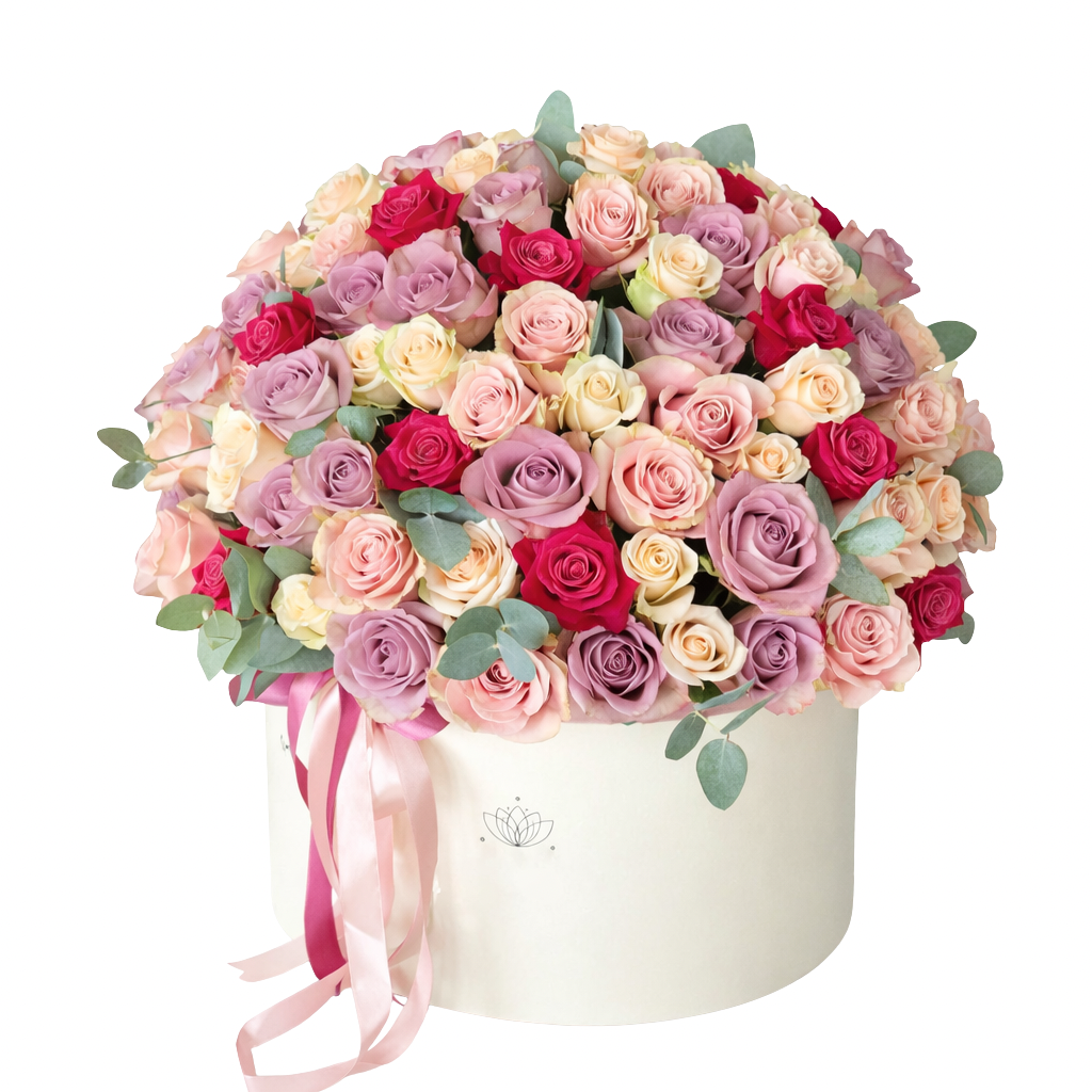 بوكس ورد ملون