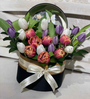 بوكس التوليب الساحر