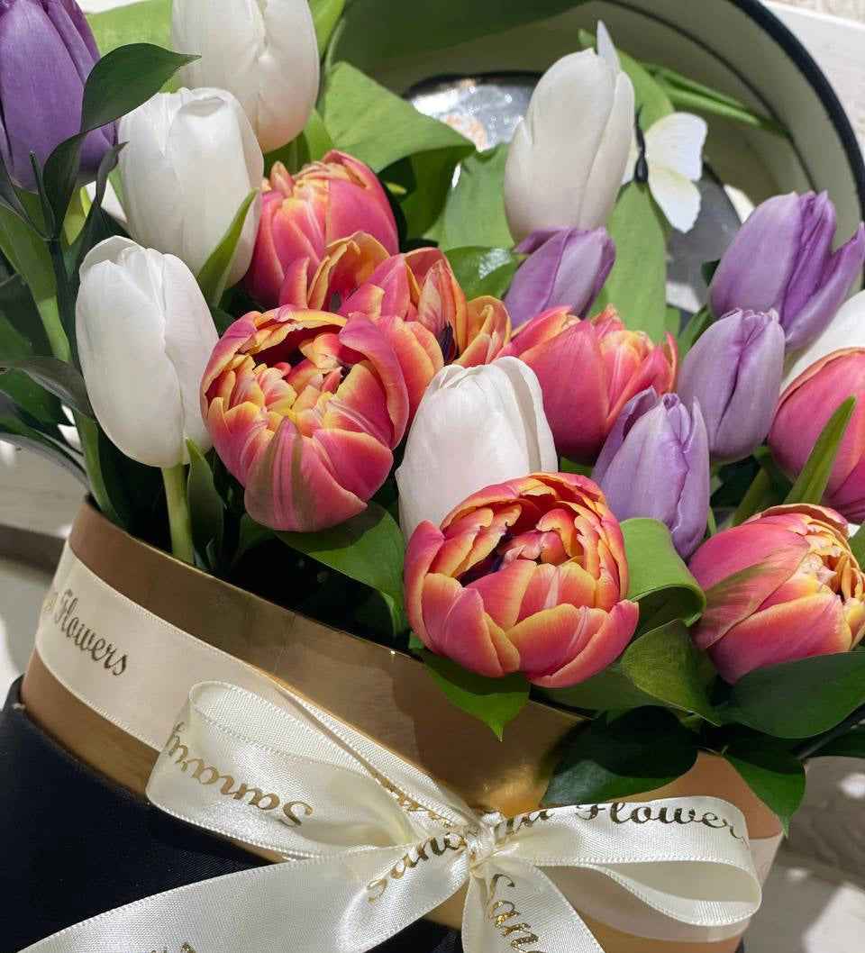 بوكس التوليب الساحر