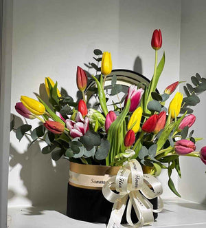 بوكس زهرة التوليب الشهيرة