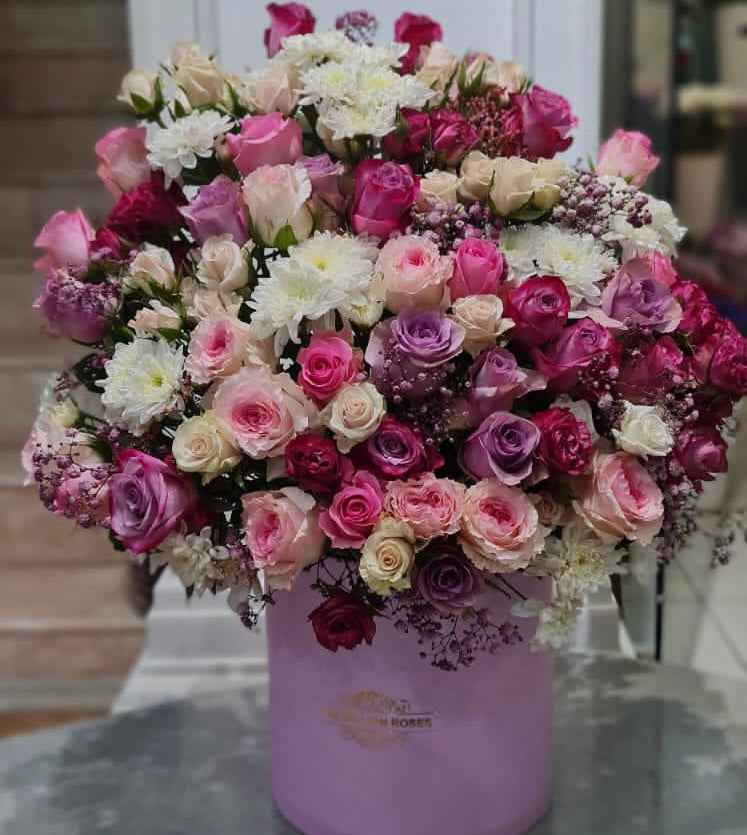 بوكس الاناقة والفخامة