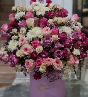 بوكس الاناقة والفخامة