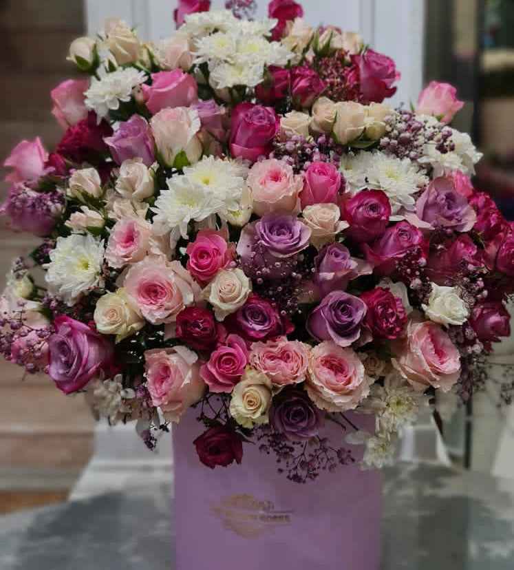 بوكس الاناقة والفخامة